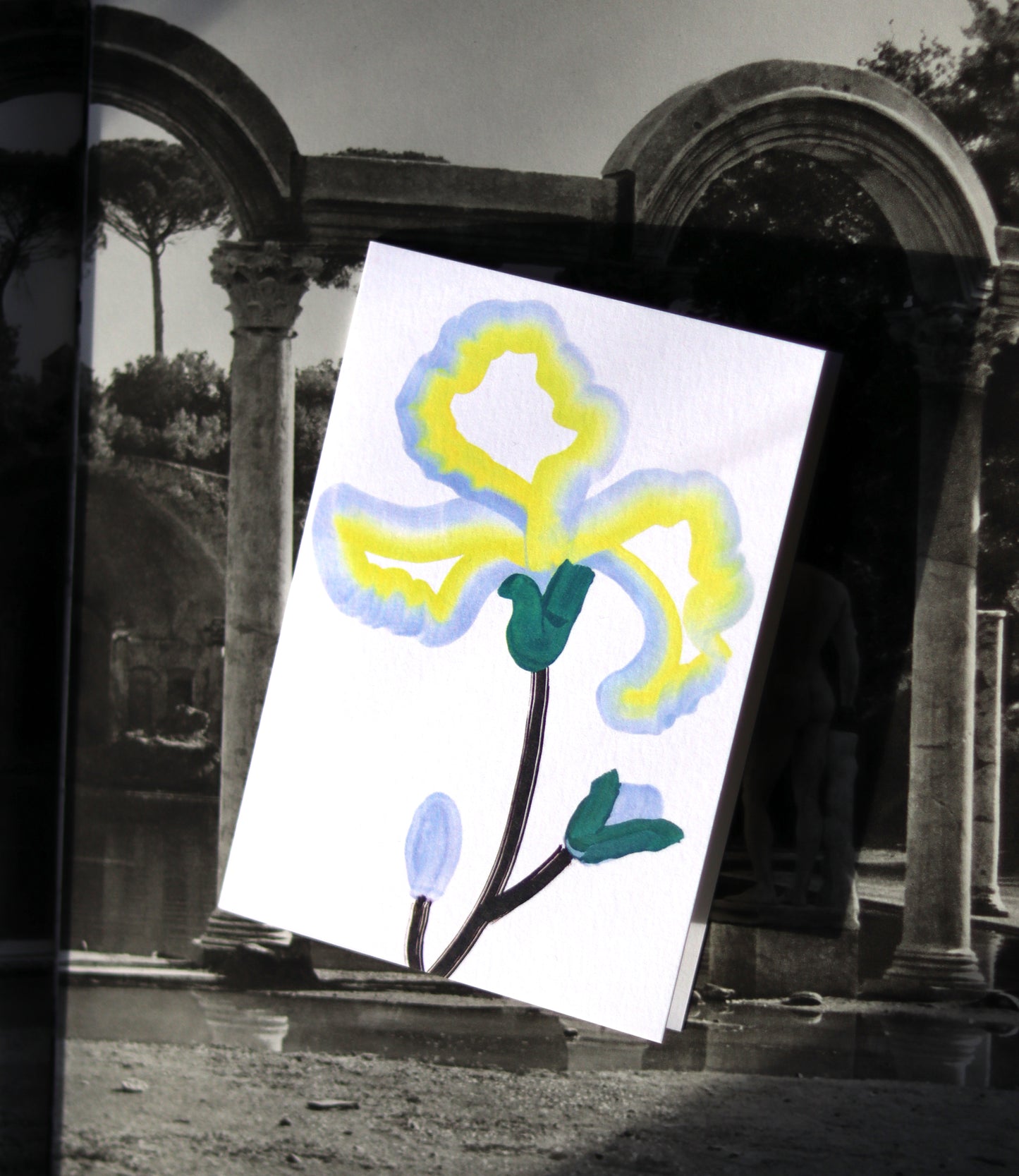 Iris Card