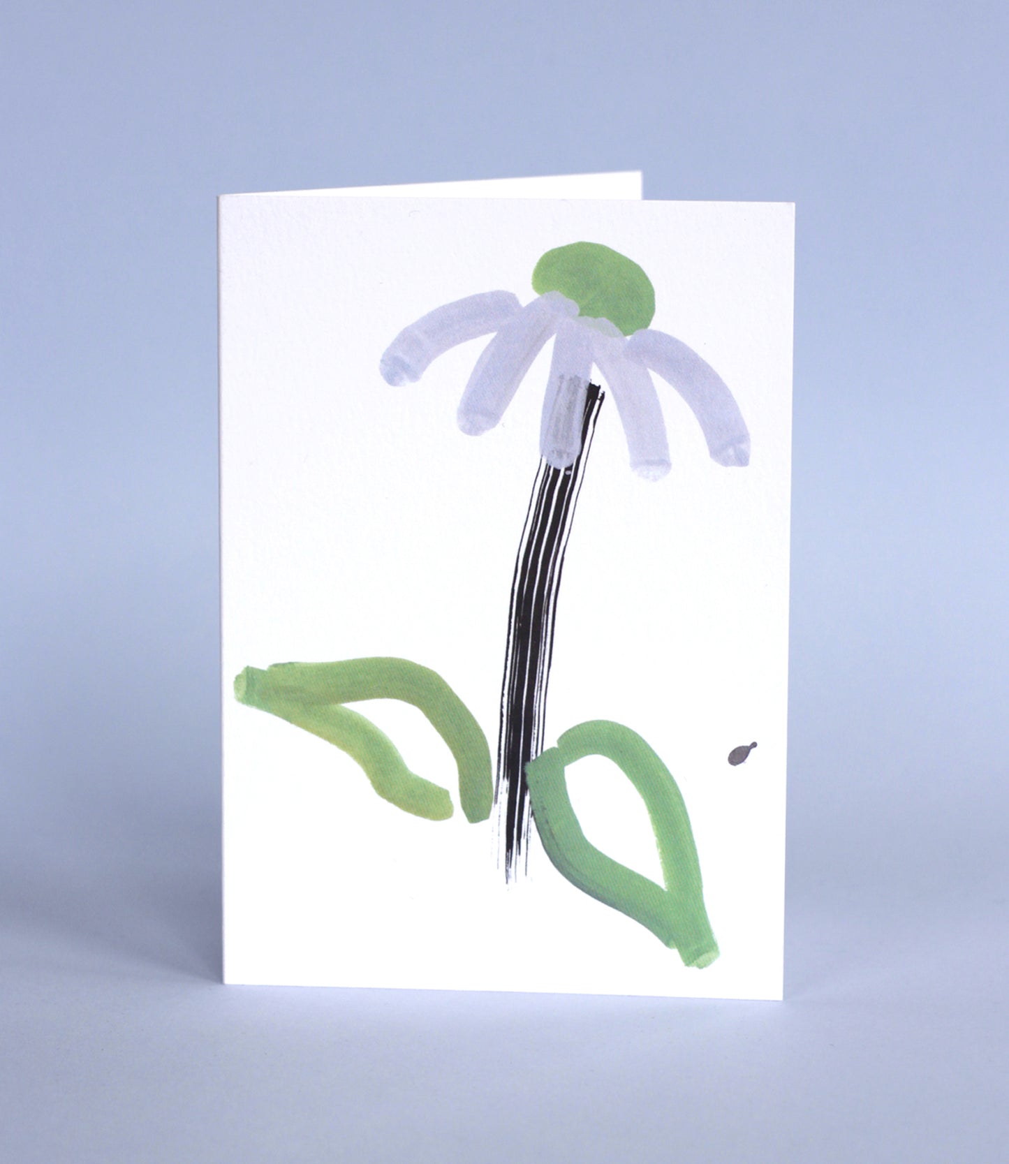Echinacea Card