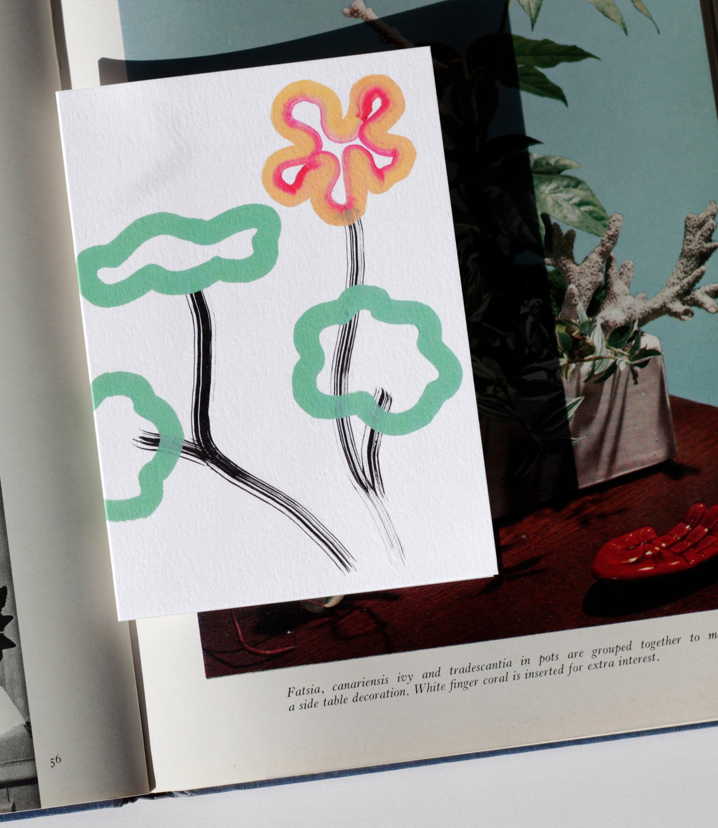 Nasturtium Greeting Card