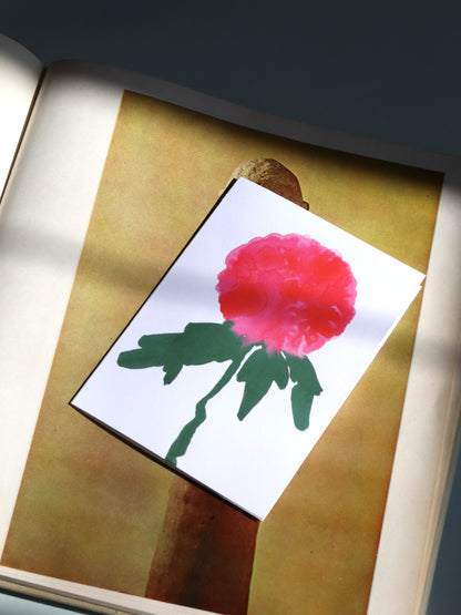 Chrysanthemum Card