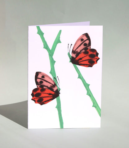 Butterflies Card