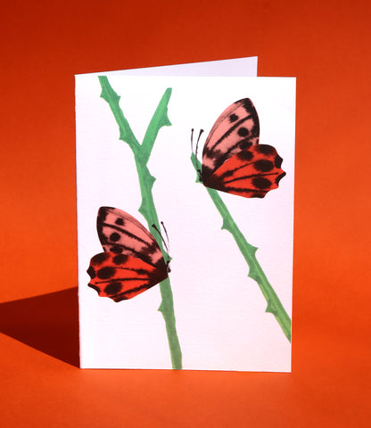 Butterflies Card