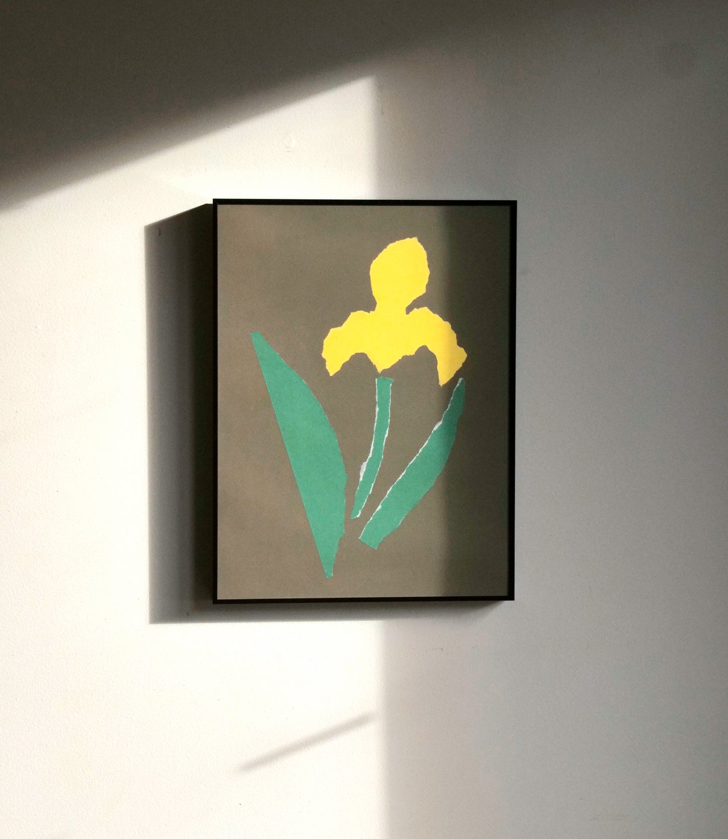 Iris Print