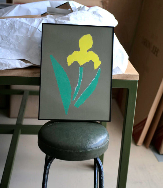 Iris Print