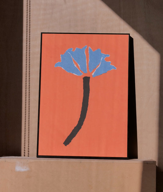 Amaryllis Print